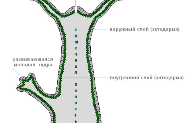 Кракен kr2web in что это